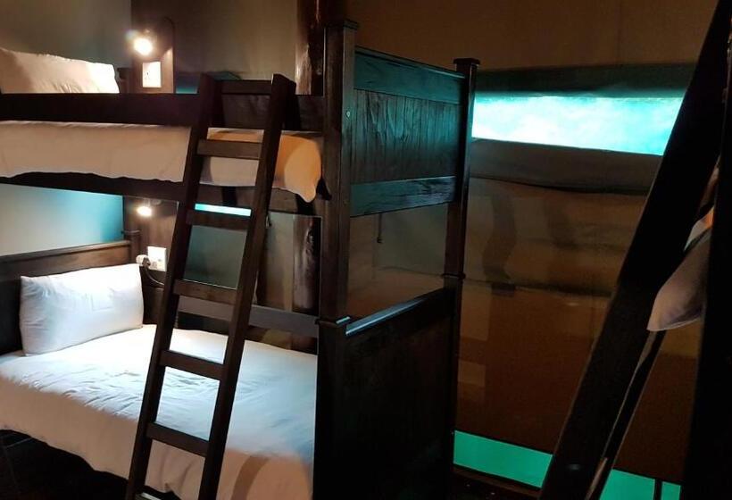 共用房间的床, Urban Glamping Tranquil International Backpacking Village