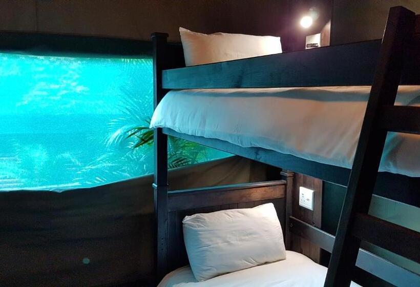 共用房间的床, Urban Glamping Tranquil International Backpacking Village