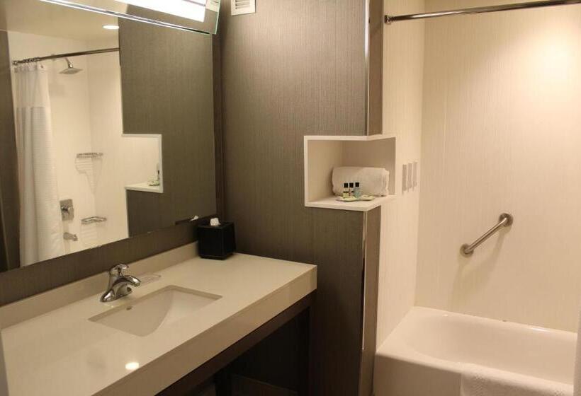 Люкс Кровать Кинг, Courtyard By Marriott Muncie At Horizon Convention Center
