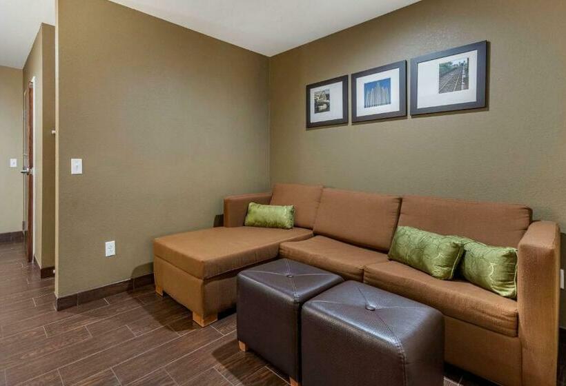 جناح, Comfort Inn & Suites Pittsburgh South