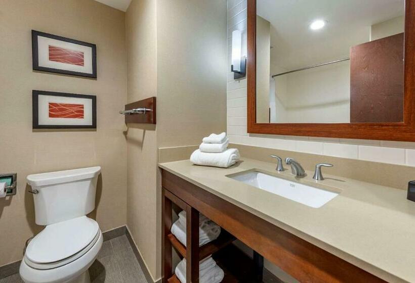غرفة قياسية, Comfort Inn & Suites Pittsburgh South