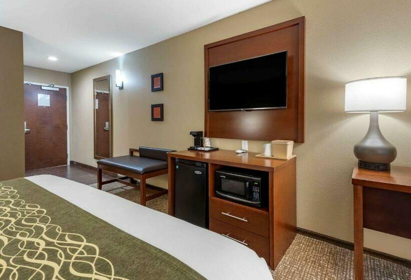 غرفة قياسية, Comfort Inn & Suites Pittsburgh South