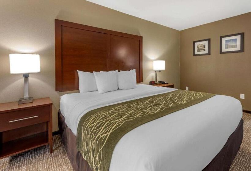 غرفة قياسية سرير كينج, Comfort Inn & Suites Pittsburgh South