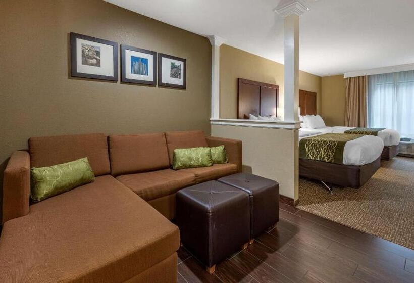 جناح لذوى الاحتياجات الخاصة, Comfort Inn & Suites Pittsburgh South