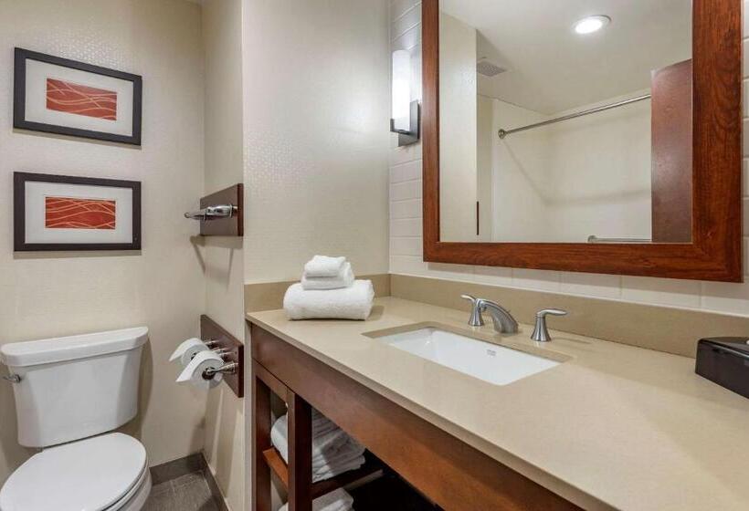 غرفة قياسية لذوى الاحتياجات الخاصة, Comfort Inn & Suites Pittsburgh South