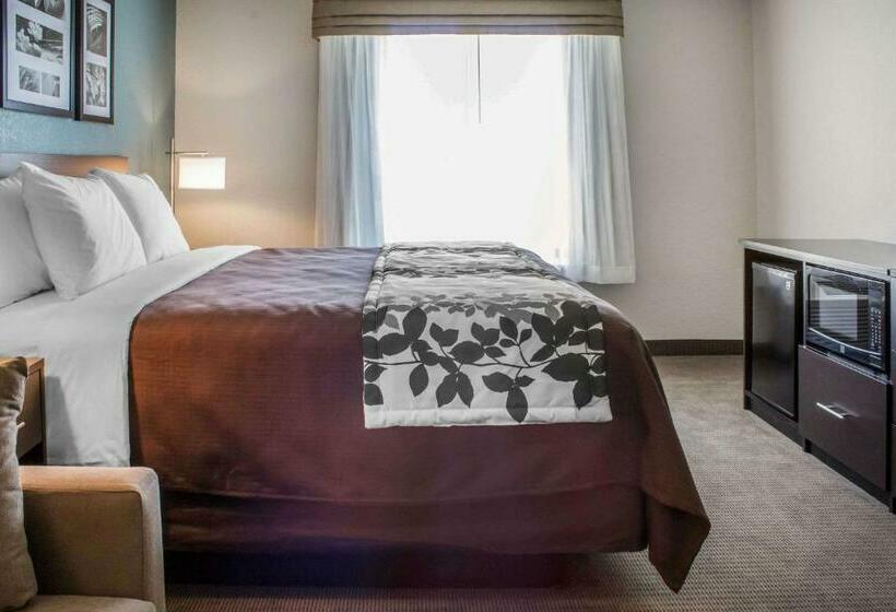 Люкс Кровать Кинг, Sleep Inn & Suites Fort Dodge