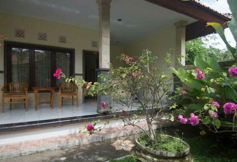 Номер Стандарт, Jiwa S House