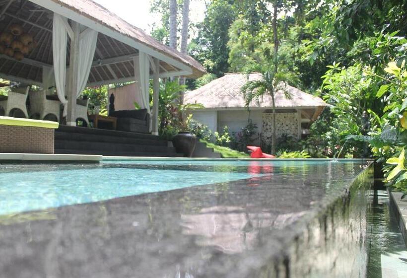 بانگلوی استاندارد, Maylie Bali Villa & Bungalows