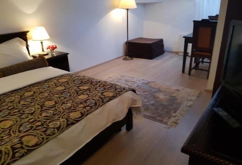 اتاق سوپریور, Vila Leonida   Resort Leonida