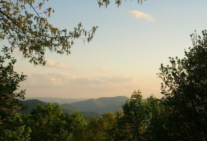 Номер Стандарт, Fire Mountain Resort