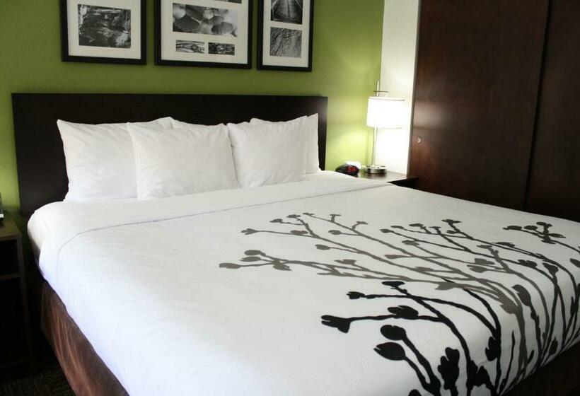 Стандартный Номер Кровать Кинг, Sleep Inn & Suites Belmont   St. Clairsville