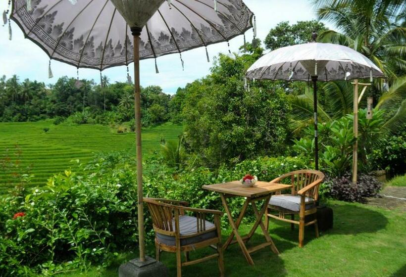 Бунгало Стандарт Вид на Сад, Bali Lush