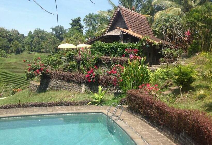 Бунгало Стандарт Вид на Сад, Bali Lush