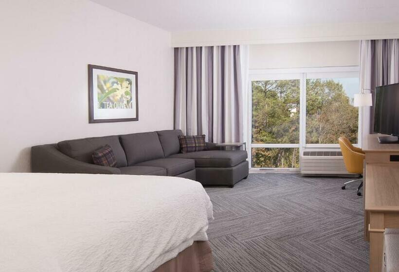 장애인을 위한 킹사이즈 침대 스탠다드 룸, Hampton Inn & Suites By Hilton Augustawashington Rd
