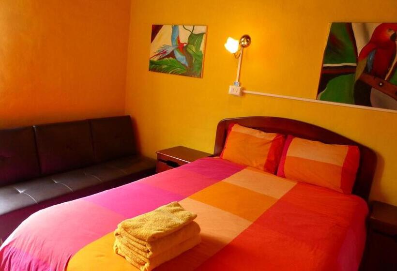 스탠다드 룸, La Casa Amarilla