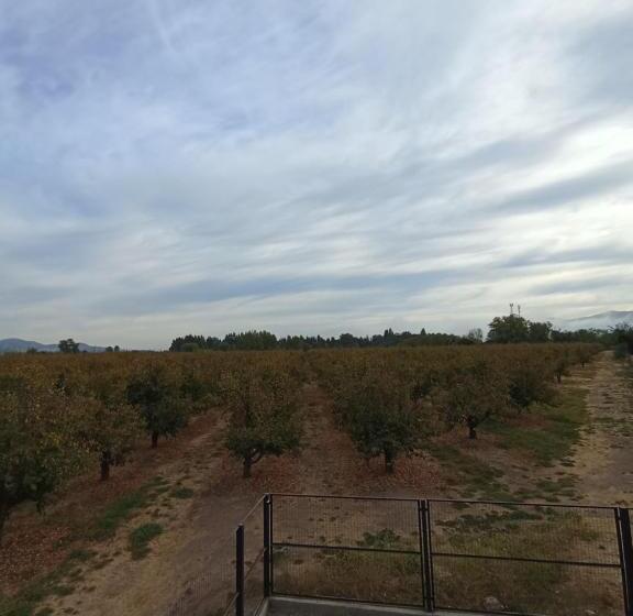 스탠다드 룸, Casa Pequen