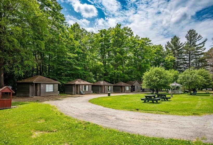 Номер Deluxe Кровать Кинг, Park Motel And Cabins