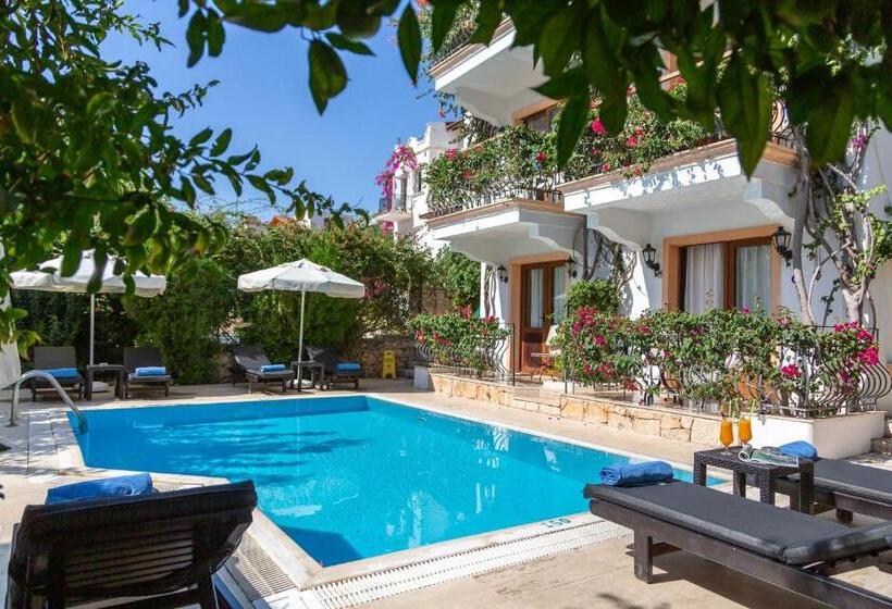 آپارتمان 1 خوابه, Korsan Apartment No.5