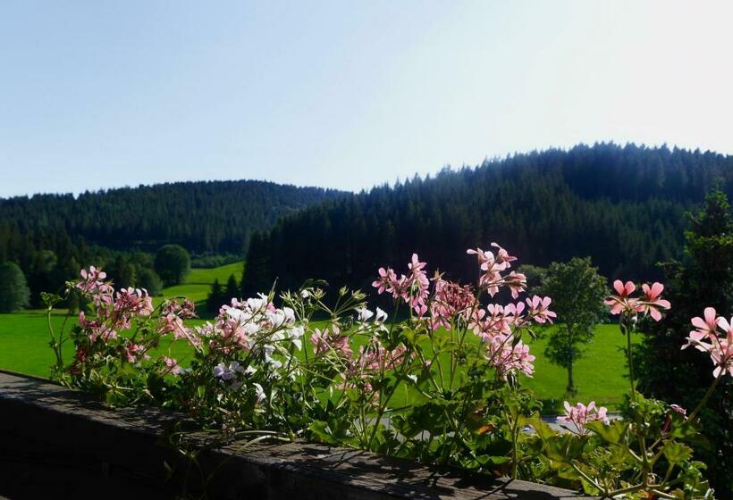 Семейный Номер, Landgasthof Jostalstüble