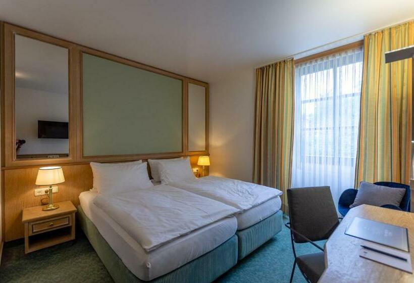 اتاق استاندارد, Arthotel Ana Aura