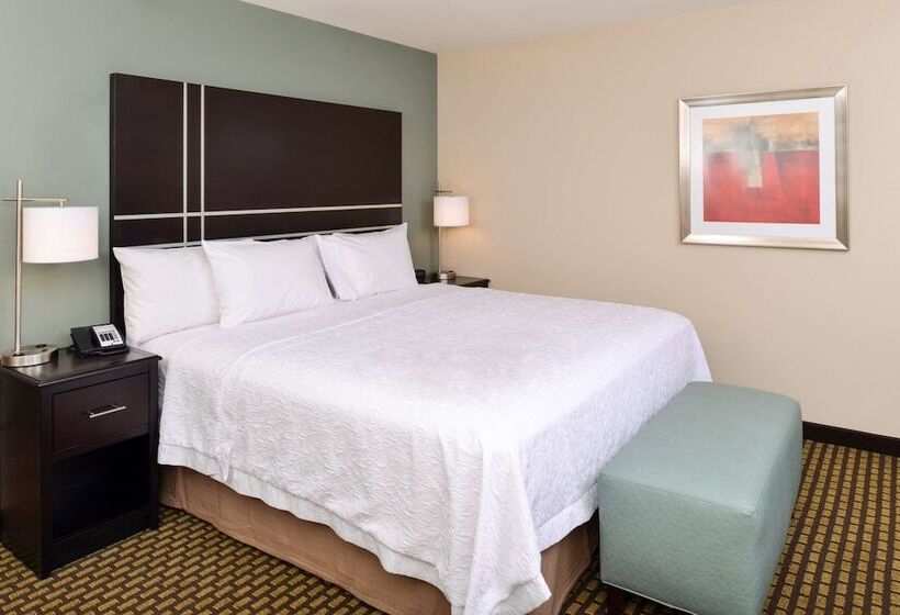 스탠다드 룸 킹사이즈 침대, Hampton Inn & Suites Douglas