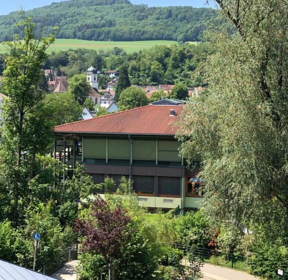 Номер Стандарт, & Restaurant Grüner Baum Merzhausen
