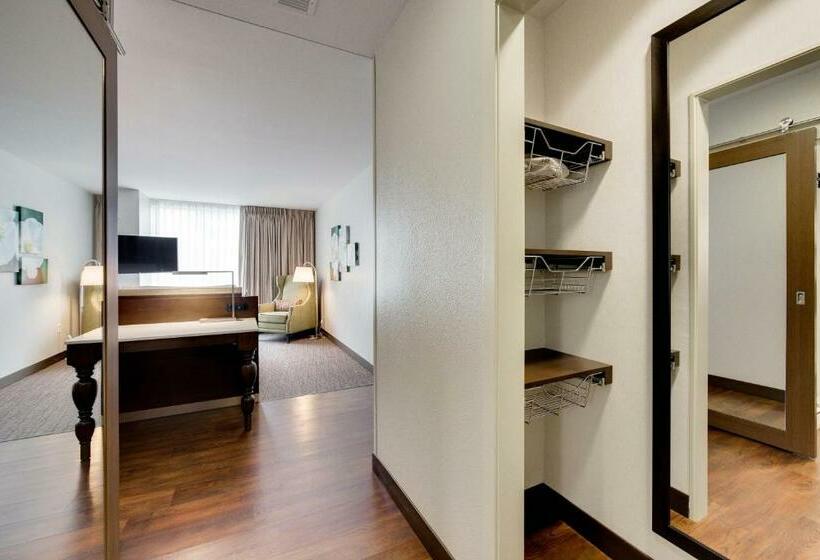 Стандартный Номер Кровать Кинг, Hilton Garden Inn North Houston Spring