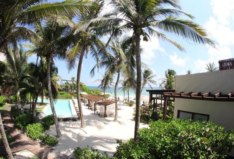 オーシャンビュースイート, Maria Del Mar Tulum   Adults Only