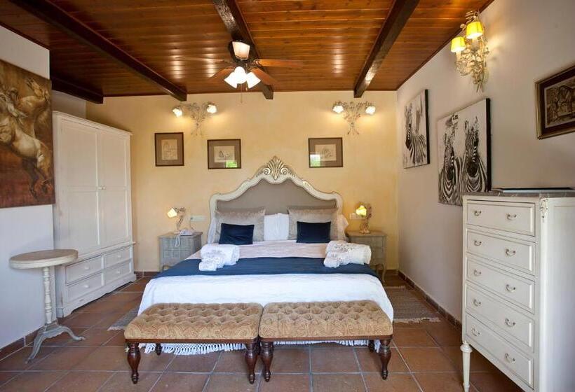 Полулюкс Одноместный с Террасой, Agroturismo Sa Vinya Des Convent