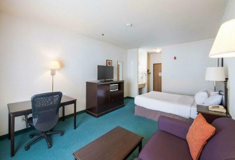 Номер Стандарт, Rodeway Inn Urbana Champaign University Area