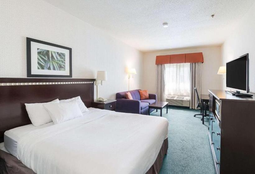 Стандартный Номер Кровать Кинг, Rodeway Inn Urbana Champaign University Area