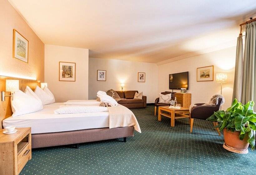 Номер Superior, Das Gastein   Ganzjährig Inklusive Alpentherme Gastein & Sommersaison Inklusive Gasteiner Bergbahnen