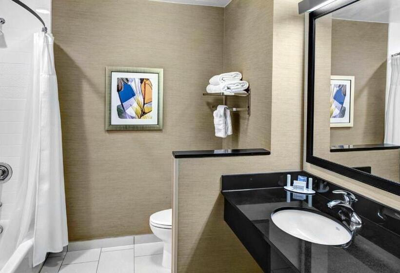 스탠다드 룸, Fairfield Inn & Suites By Marriott Lansing At Eastwood