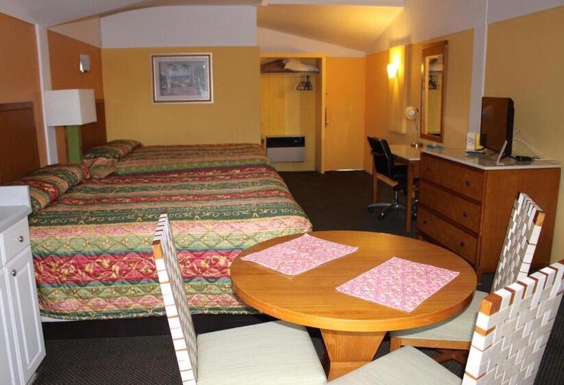 Номер Deluxe, Warm Mineral Springs Motel