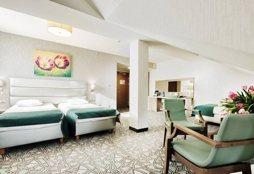 Номер Стандарт, Golden Tulip Krakow Kazimierz