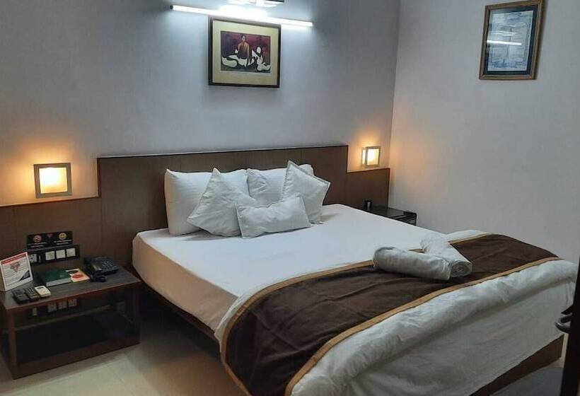 豪华单人间, New Delhi Ymca Tourist Hostel