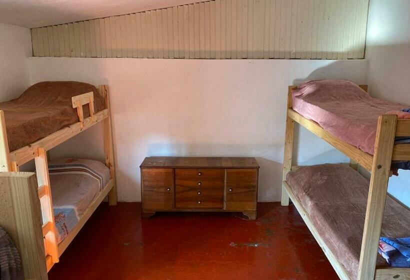 이코노미 쿼드러플룸(공용 화장실), Alojamiento Hostel Lodeolga La Florida