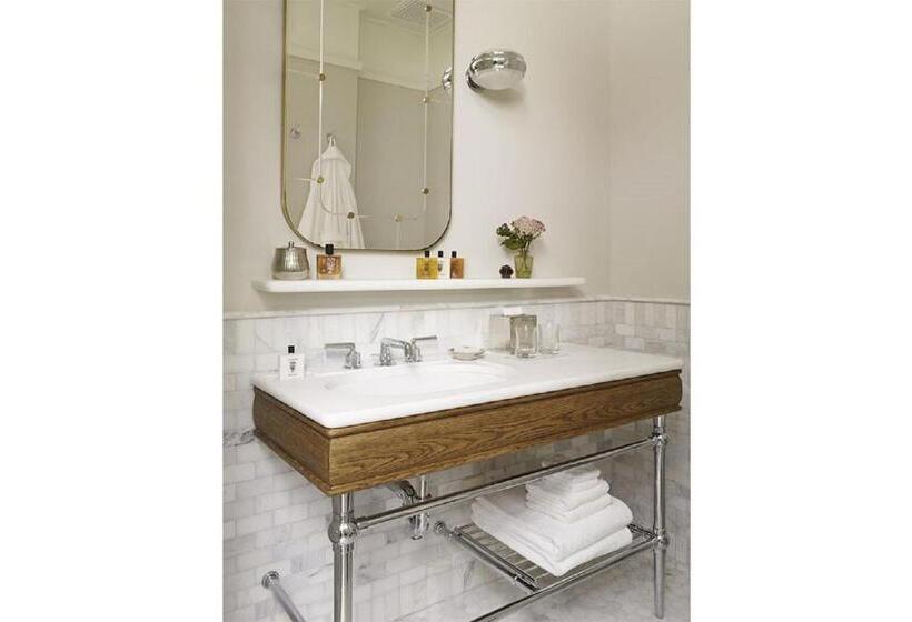 اتاق استاندارد با تخت بزرگ, The Beekman, A Thompson Hotel, By Hyatt