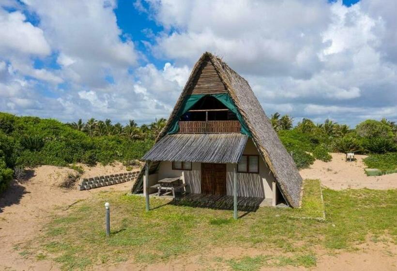 スタンダード４人部屋, Singila Ocean Lodge