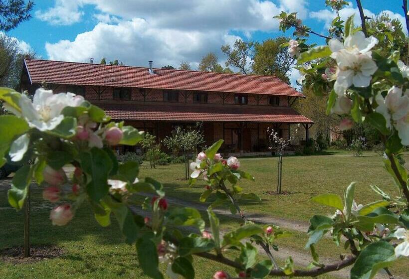 Номер Стандарт, L Atelier Des Résiniers