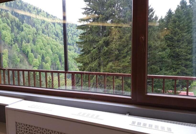 سوییت خانوادگی, Ayder Doga Resort