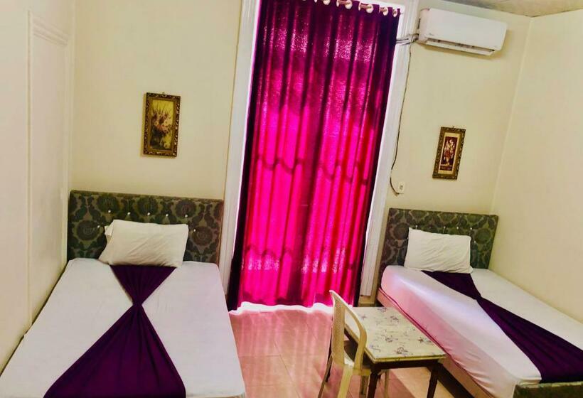 اتاق استاندارد یک نفره, Oh! Cairo Pharaoh Hostel
