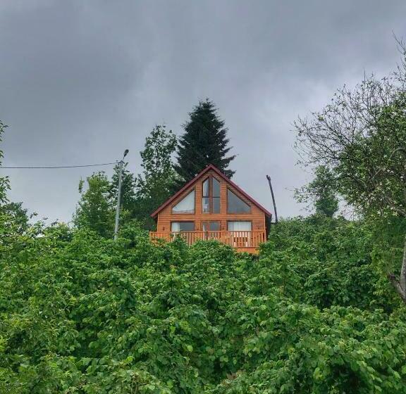 Семейный Номер Вид на Горы, Zivera Bungalov