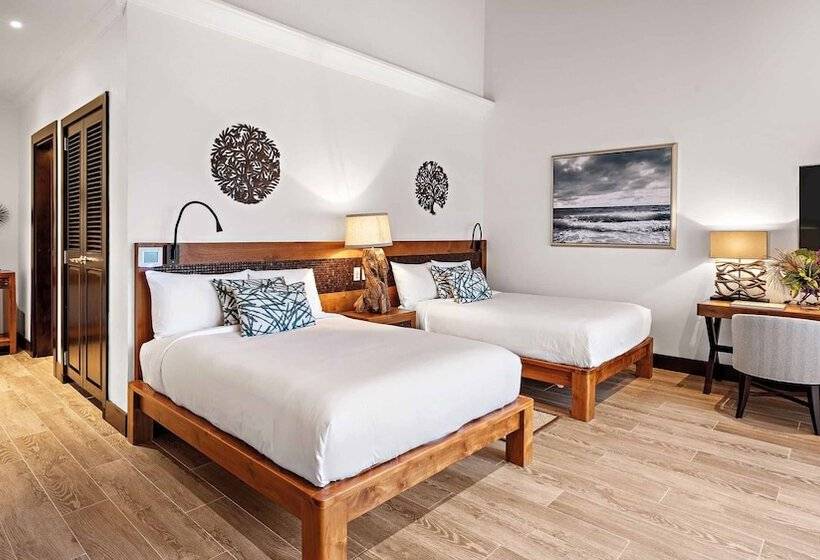 سوئیت پریمیوم 3 خوابه, Zemi Beach House, Lxr Hotels & Resorts