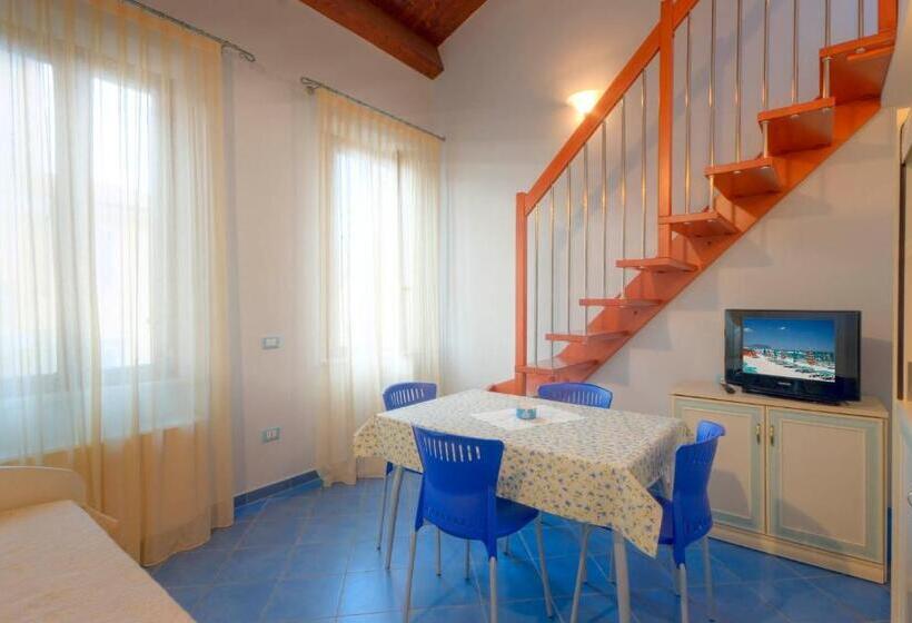 اتاق استاندارد چهار تخته, Butterfly S House
