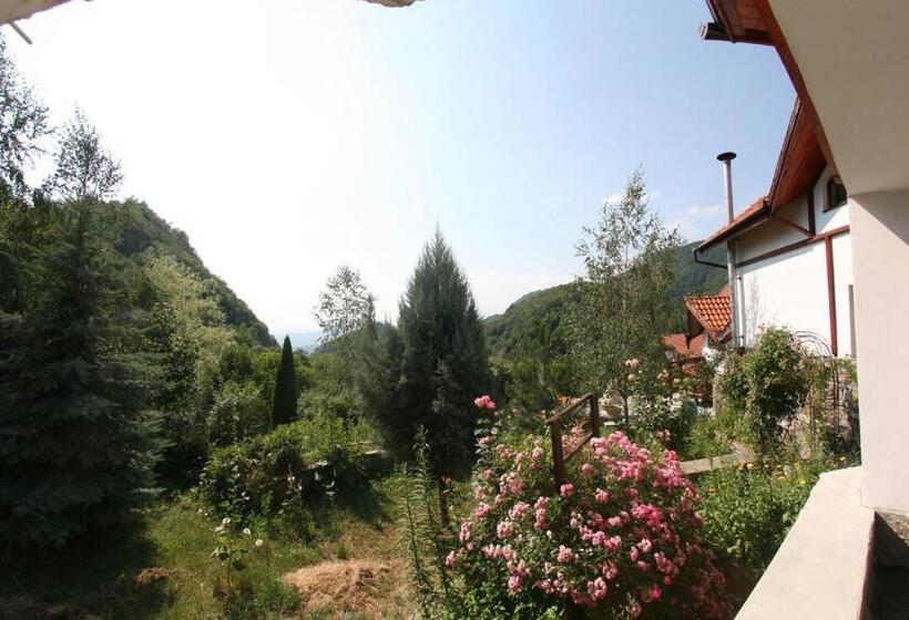 Вилла 1 Спальня Вид на Сад, Vila Anastasia