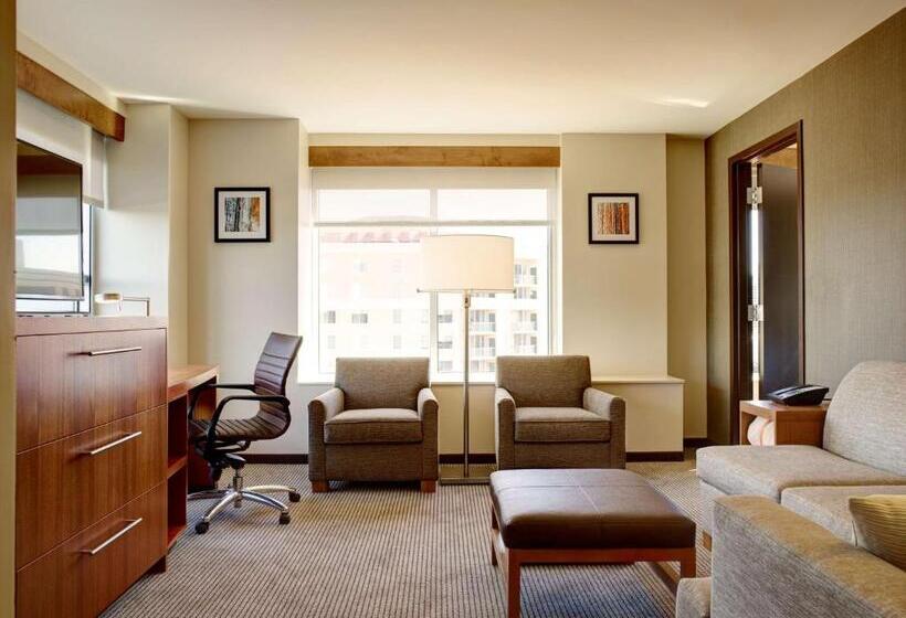 스위트 킹사이즈 침대, Hyatt Place Arlington Courthouse