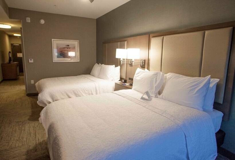 Люкс, Hampton Inn & Suites Downtown St. Paul