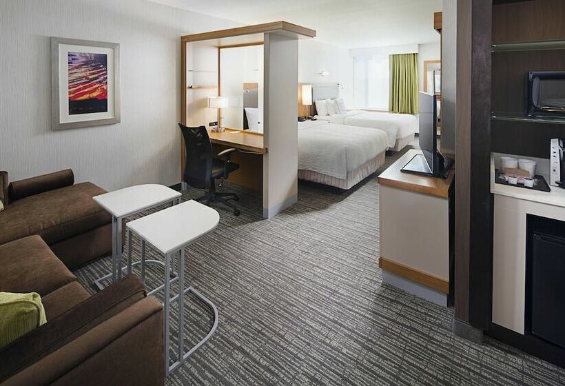 Студия Стандарт, Springhill Suites By Marriott Carle Place Garden City