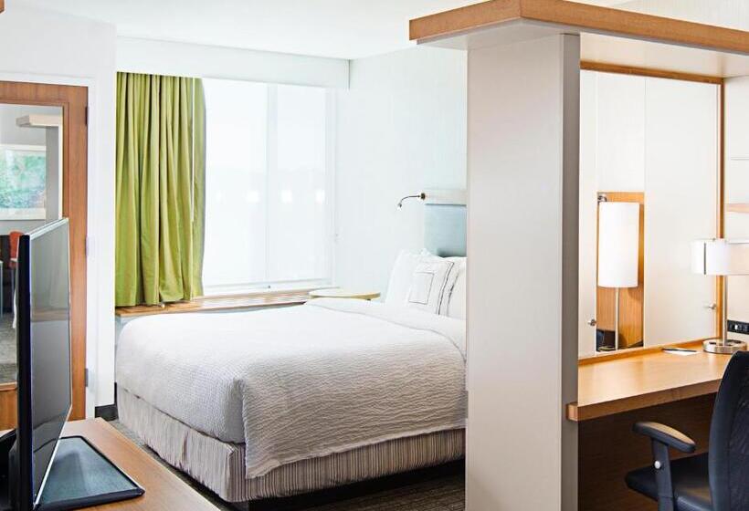 Студио Стандарт Кровать Кинг, Springhill Suites By Marriott Carle Place Garden City